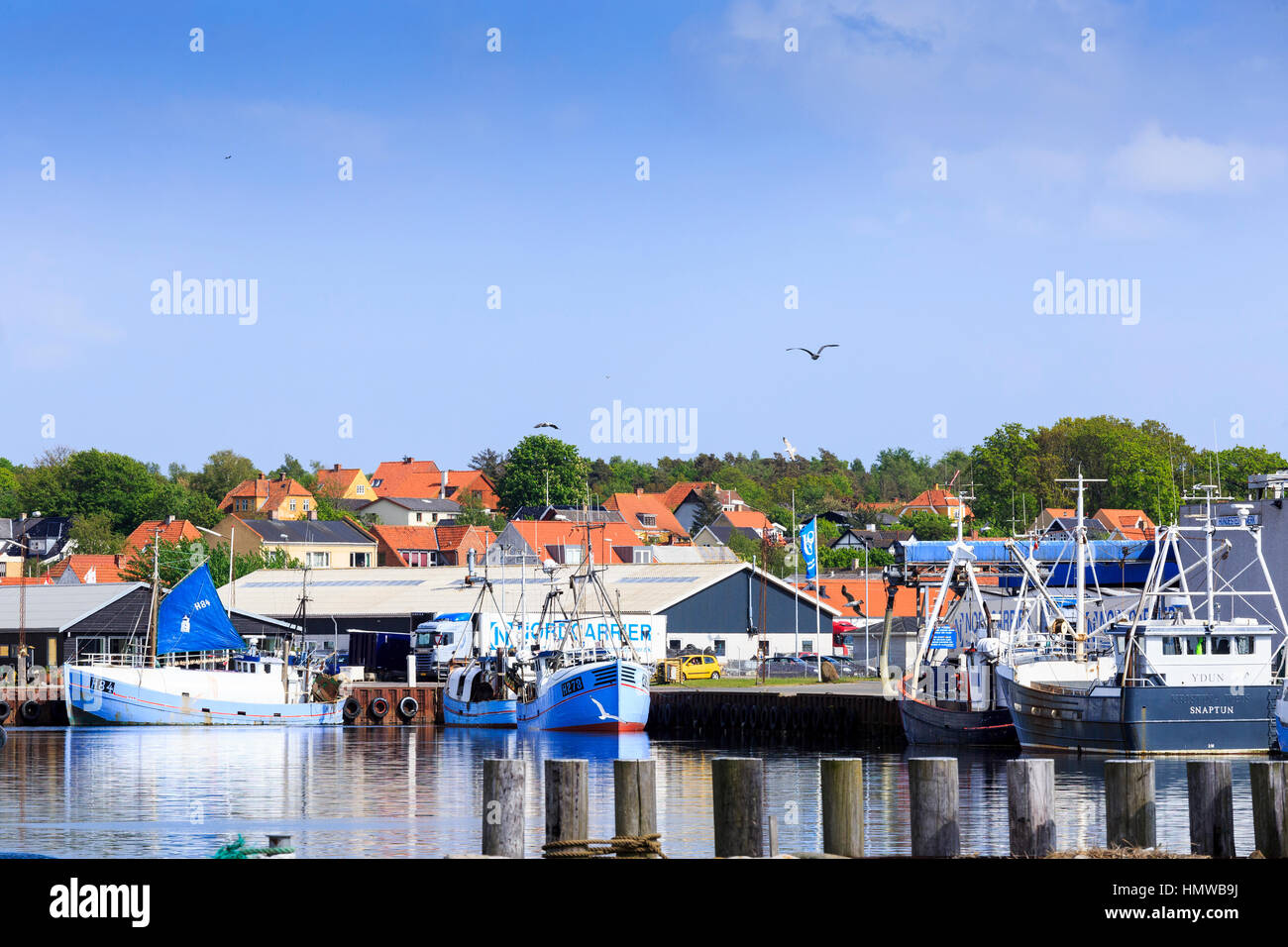 Les chalutiers de pêche colorés dans le port d'Hundested, Danemark Banque D'Images