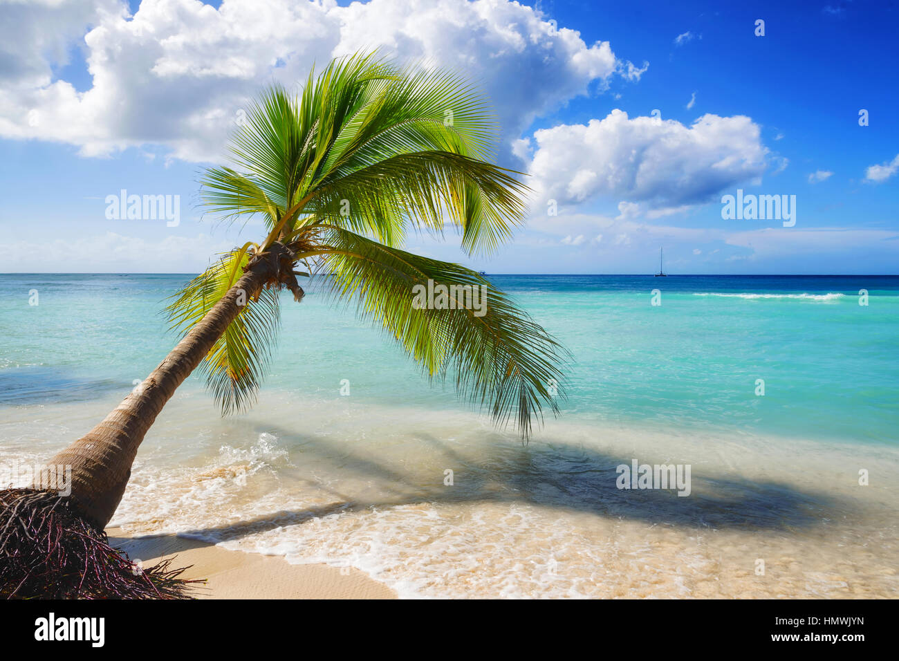 Paysage plage des Caraïbes Banque D'Images