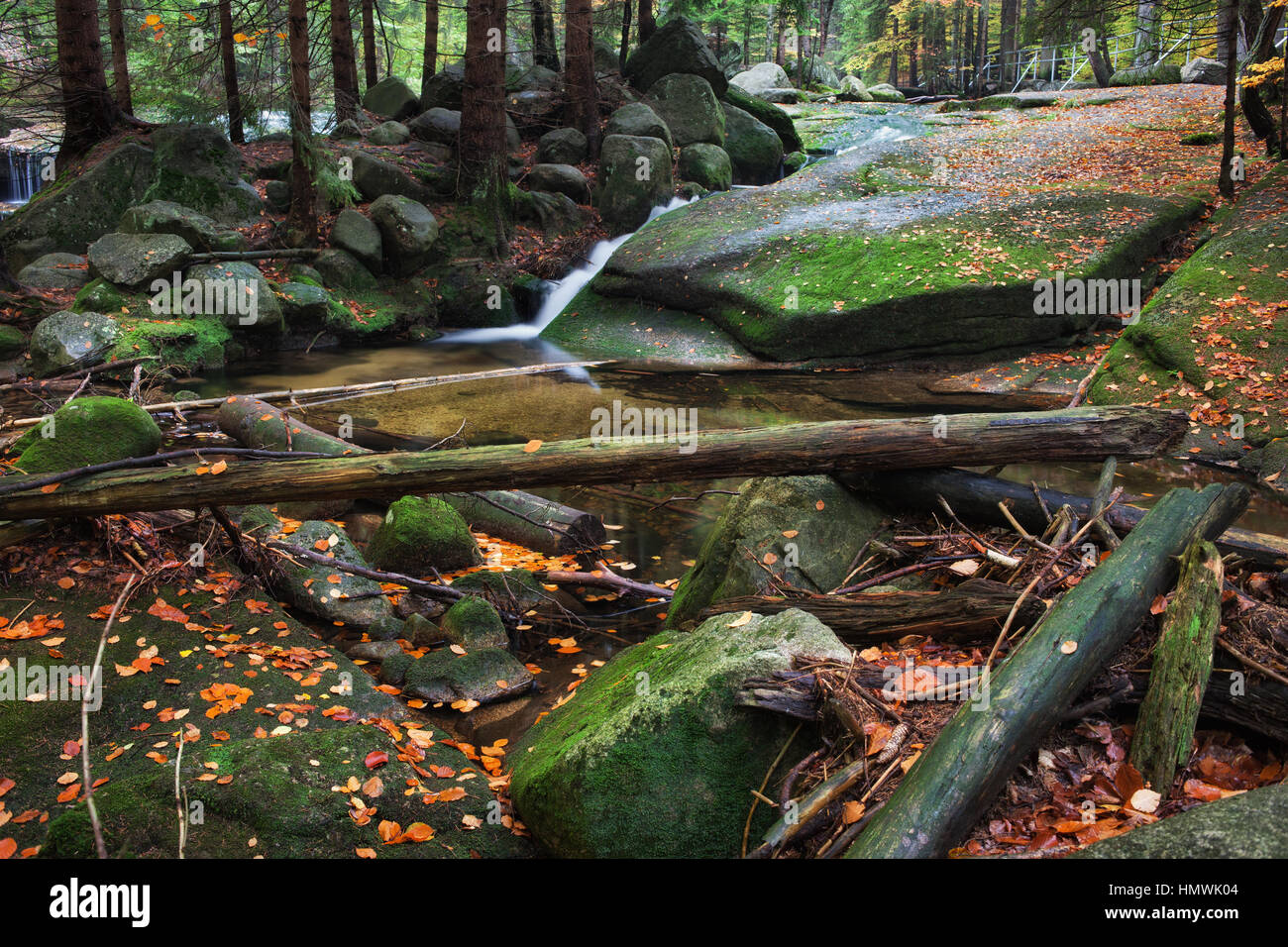 La Pologne, Sudetes, montagnes de Karkonosze, flux avec des rochers, rochers, feuilles mortes et arbres Banque D'Images