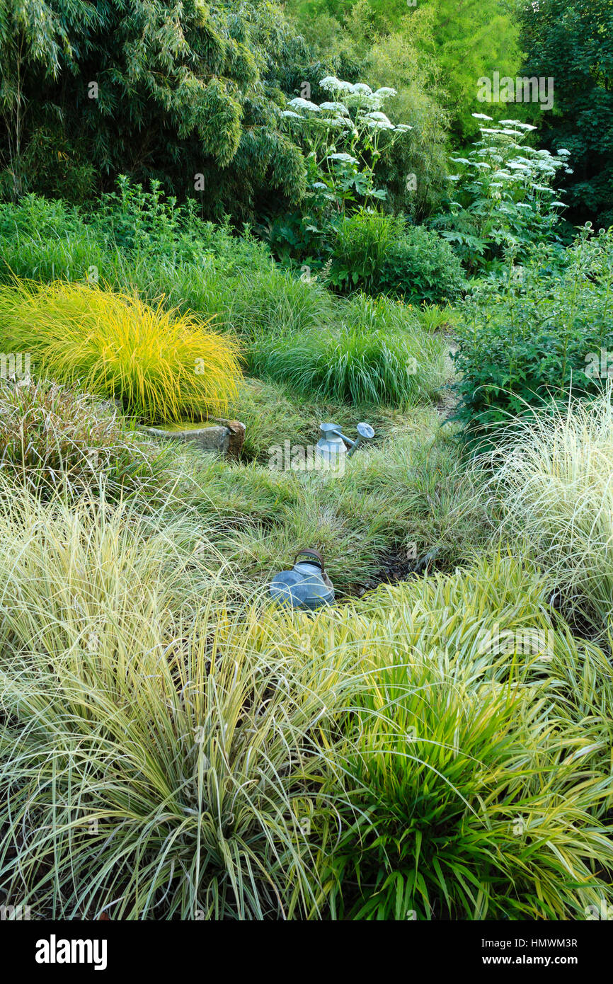 Chambres d'herbes au printemps avec un récipient pour l'eau, Jardins du pays d'Auge, Normandie, France Banque D'Images