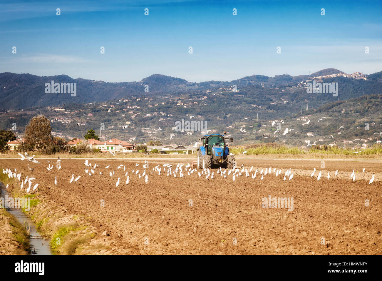 Concept de l'agriculture avec le tracteur sur un champ de travail Banque D'Images