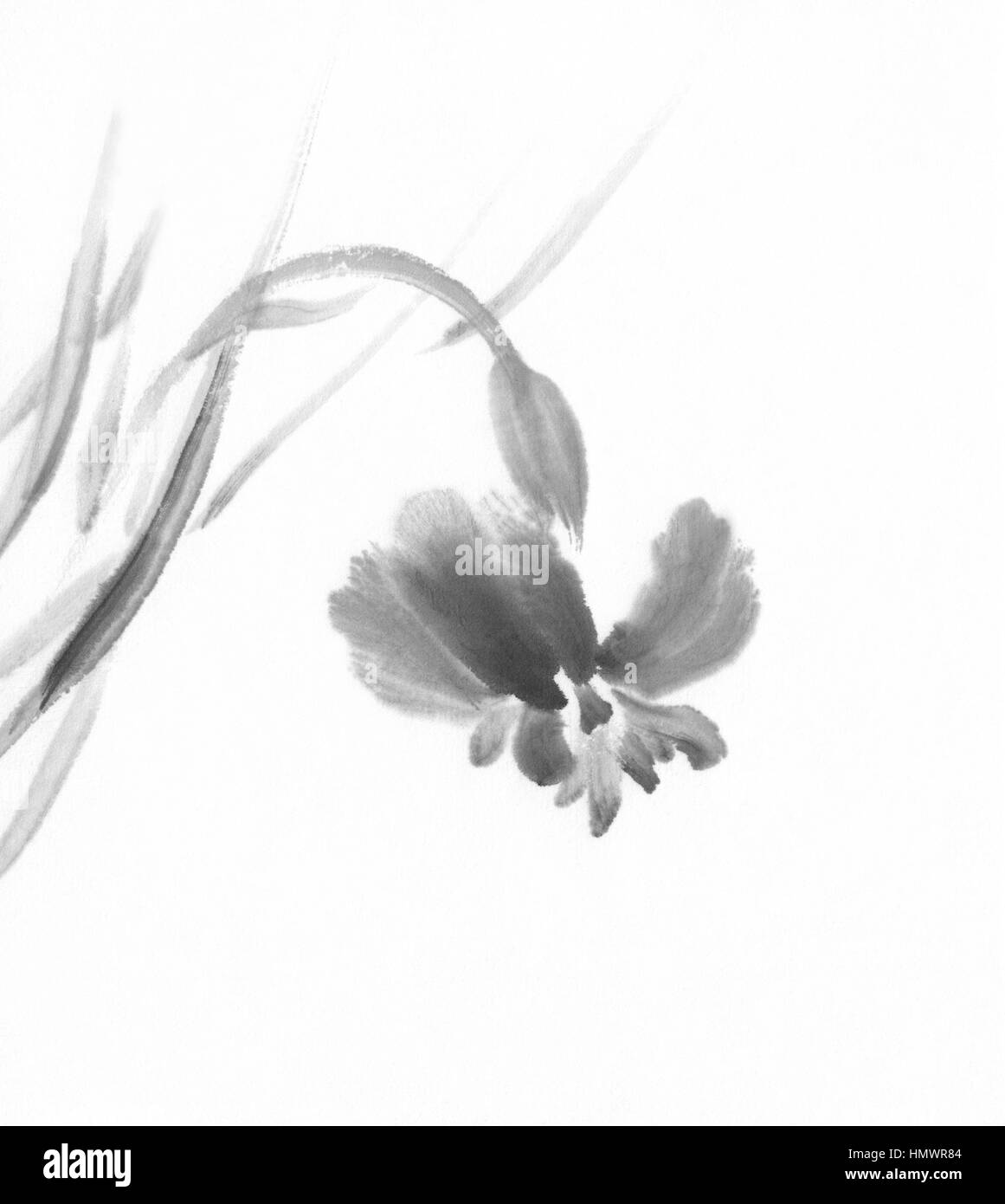 Peinture à l'encre chinoise iris Banque D'Images