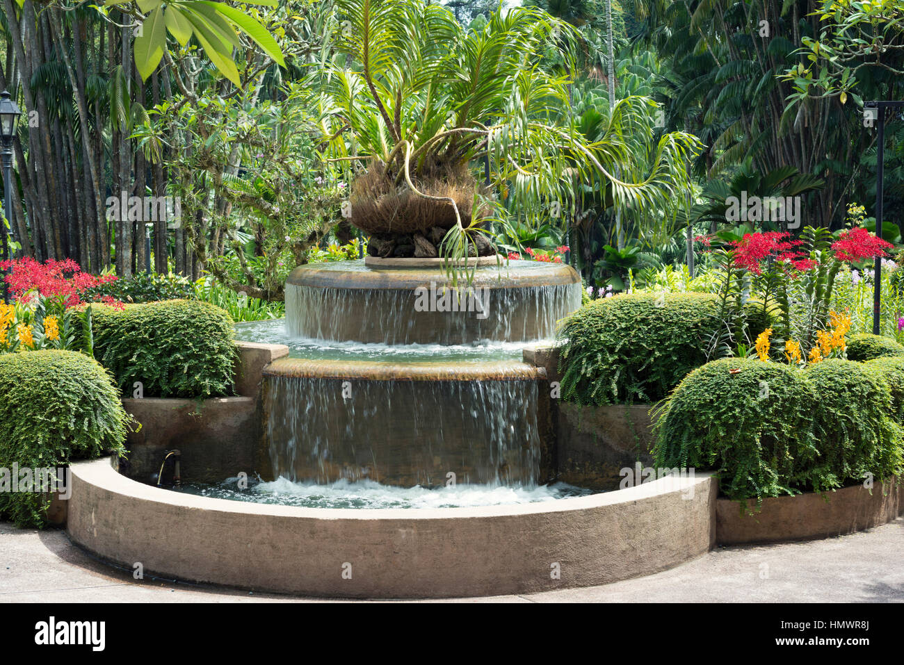 Fontaine cascade pittoresque avec la flore tropicale dans le jardin Botanique de Singapour Banque D'Images Fontaine cascade pittoresque avec la flore tropicale dans le jardin Botanique de Singapour Banque D'Images