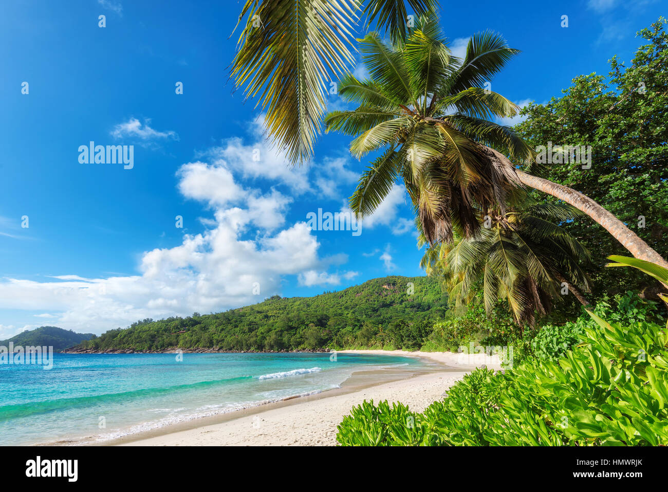 Plage tropicale Banque D'Images