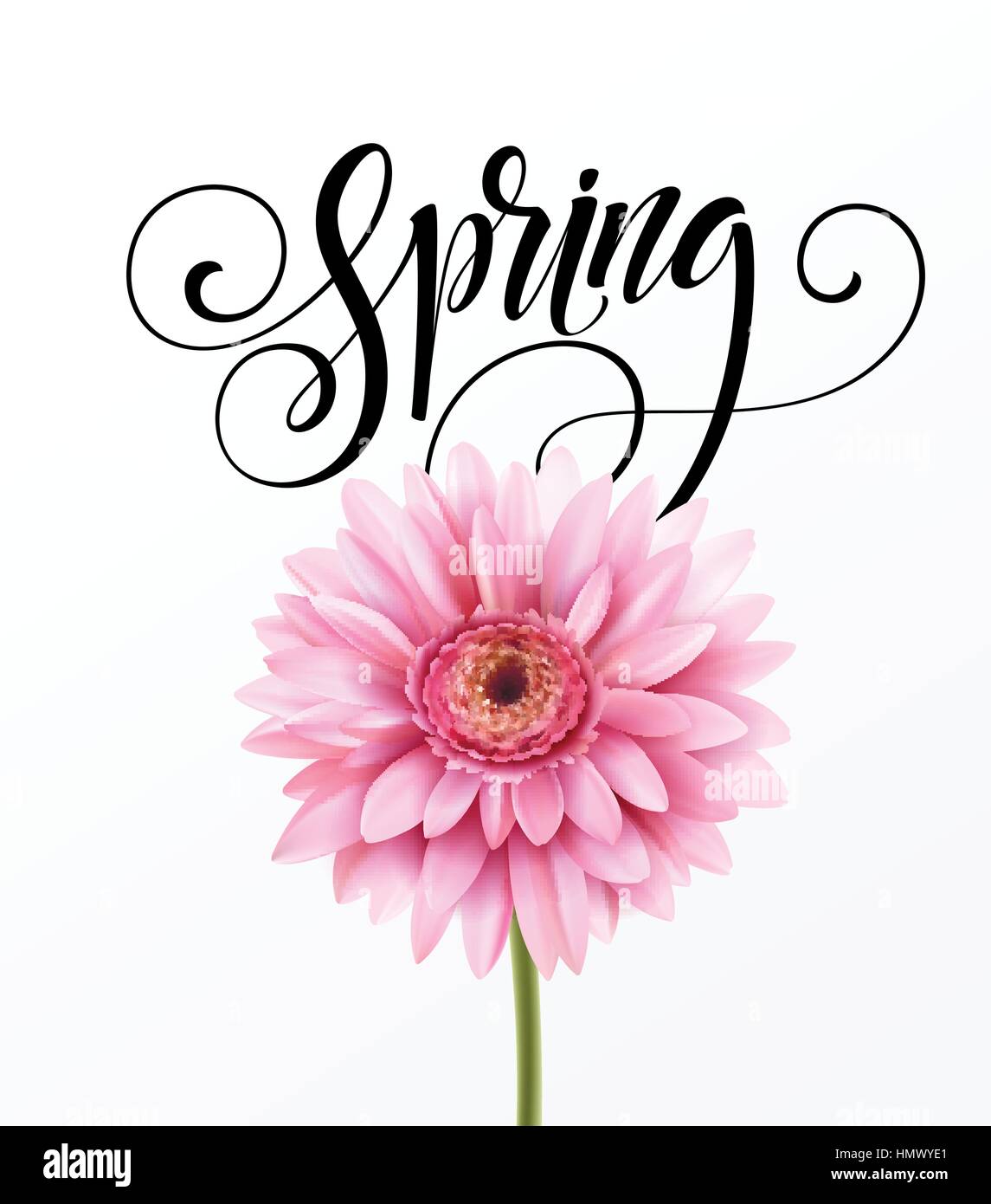 Gerbera Flower Background et au printemps le lettrage. Vector Illustration Illustration de Vecteur