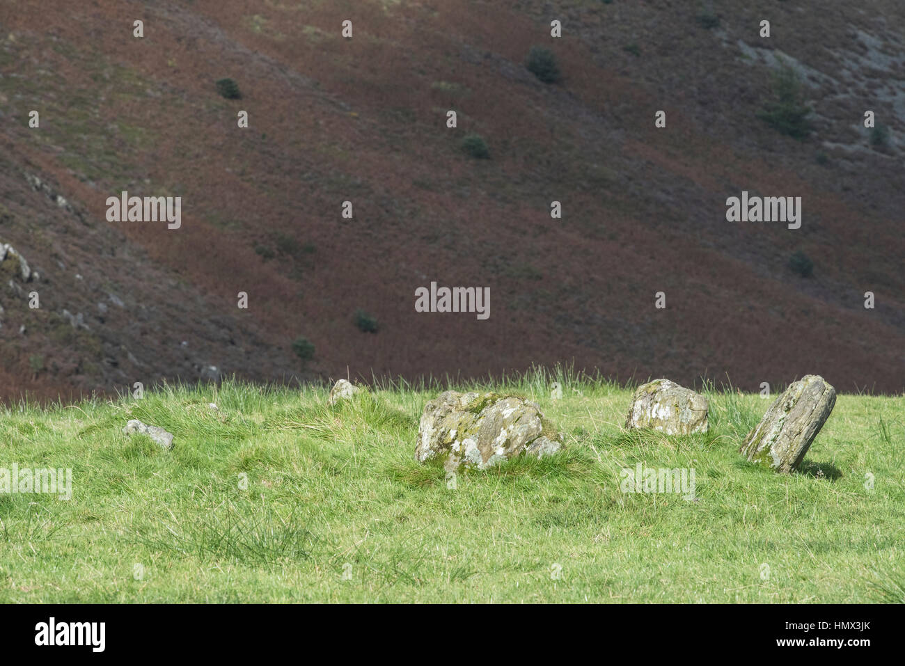 Cercle de pierre sur Bryn Bras, Ponterwyd, Ceredigion, pays de Galles Banque D'Images