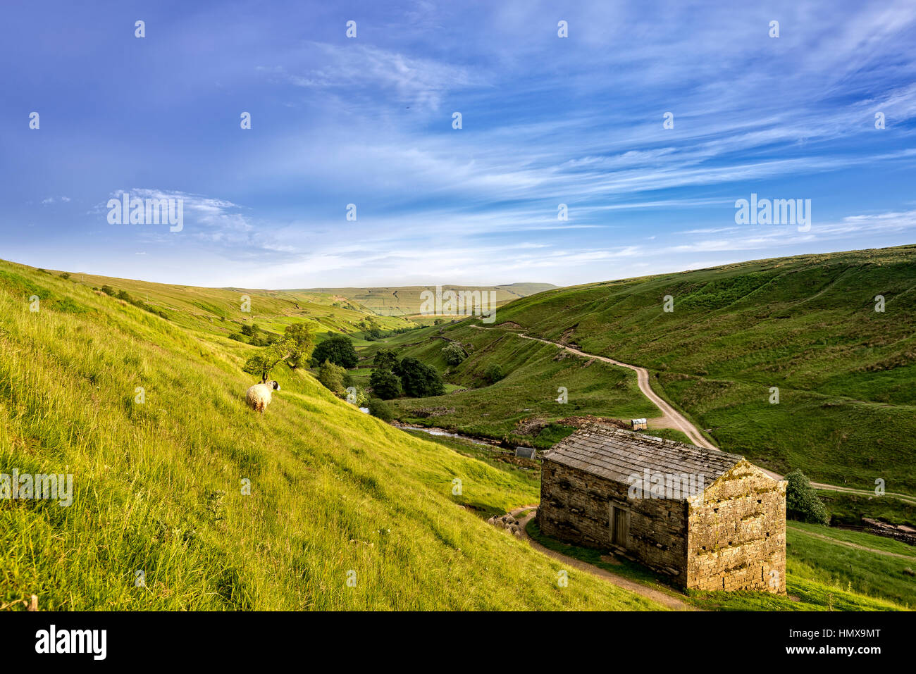 Soleil du soir sur les Pennines dans le Yorkshire Dales Banque D'Images