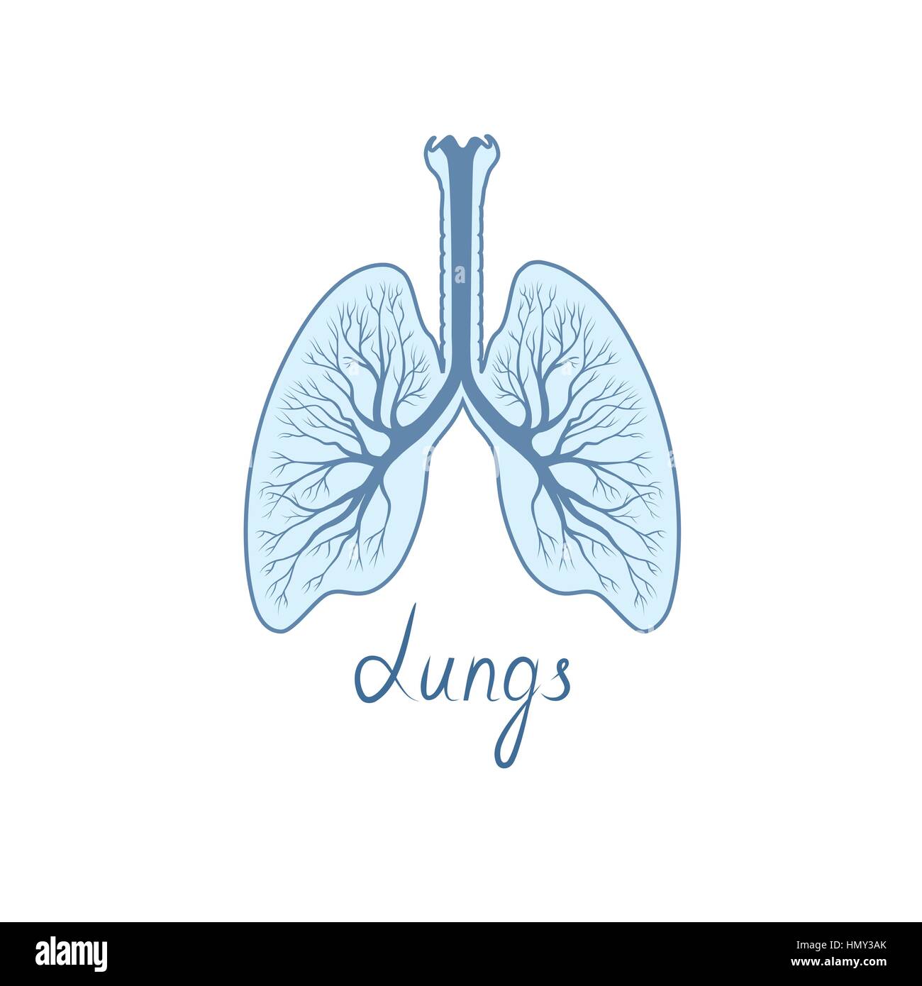 Poumons signe. les droits de l'icône de l'anatomie des organes internes Illustration de Vecteur