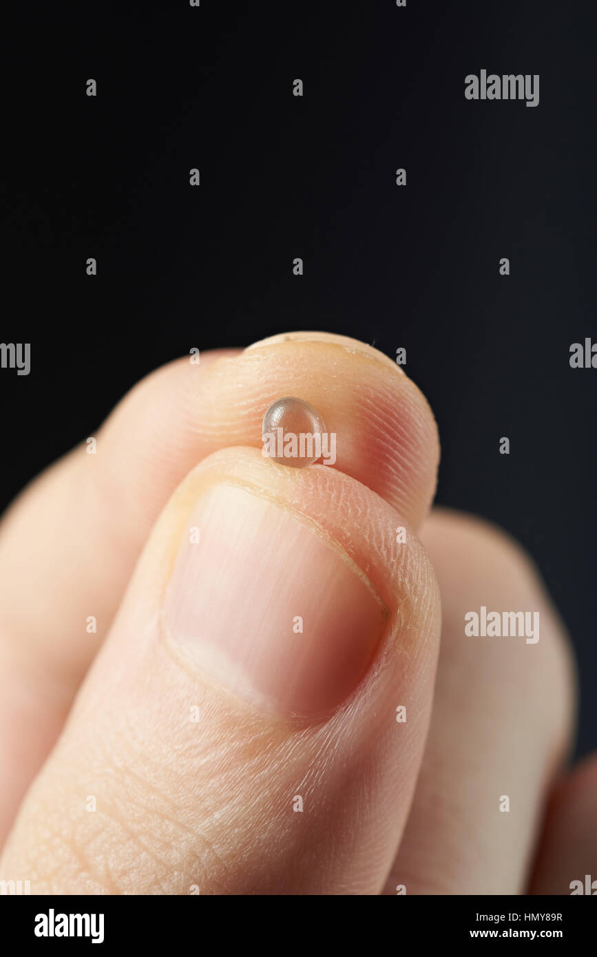 Un gel de silice granula en attente dans la main Banque D'Images