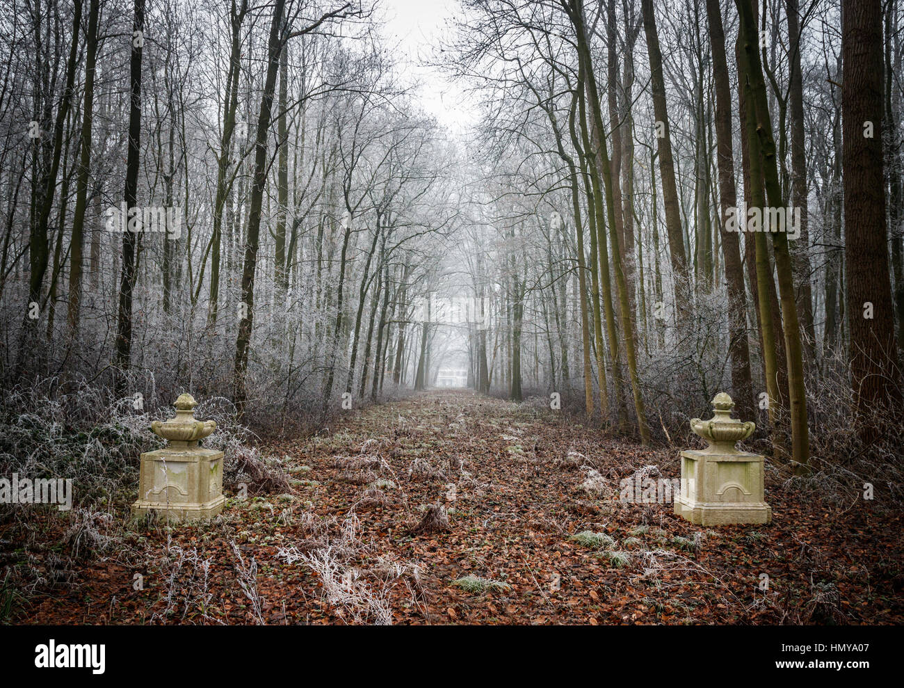 Scène d'hiver de la forêt de l'Amelisweerd estate, pygargue à tête blanche avec des arbres du gel et l'allée pillers à une ancienne porte d'entrée. Les Pays-Bas. Banque D'Images