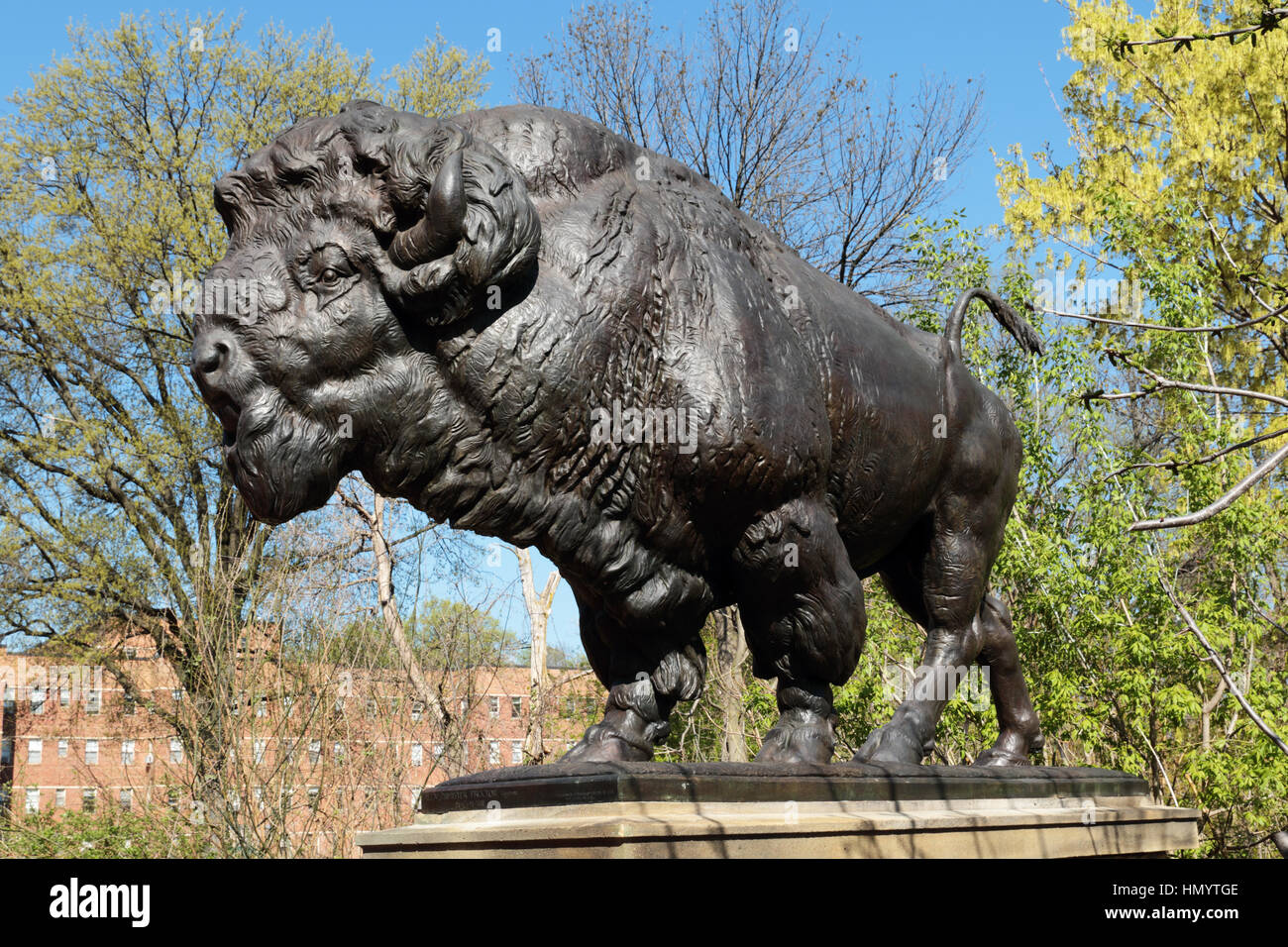 L'une des sculptures de bisons sur le pont Dunbarton Washington DC aussi connu sous le nom de Buffalo pont et le pont de la rue Q Banque D'Images
