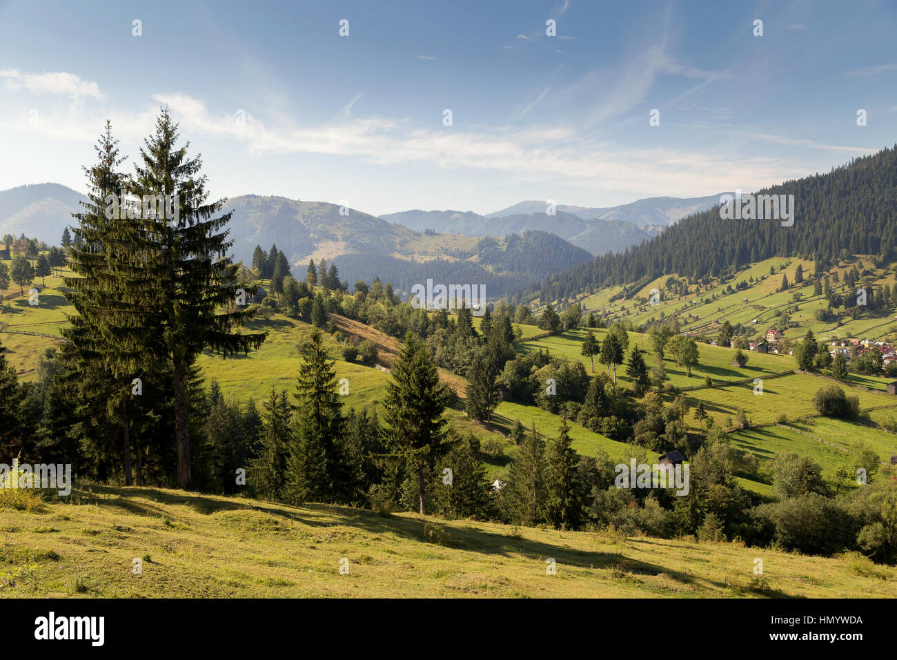 Paysage d'été en Bucovine, Roumanie Banque D'Images