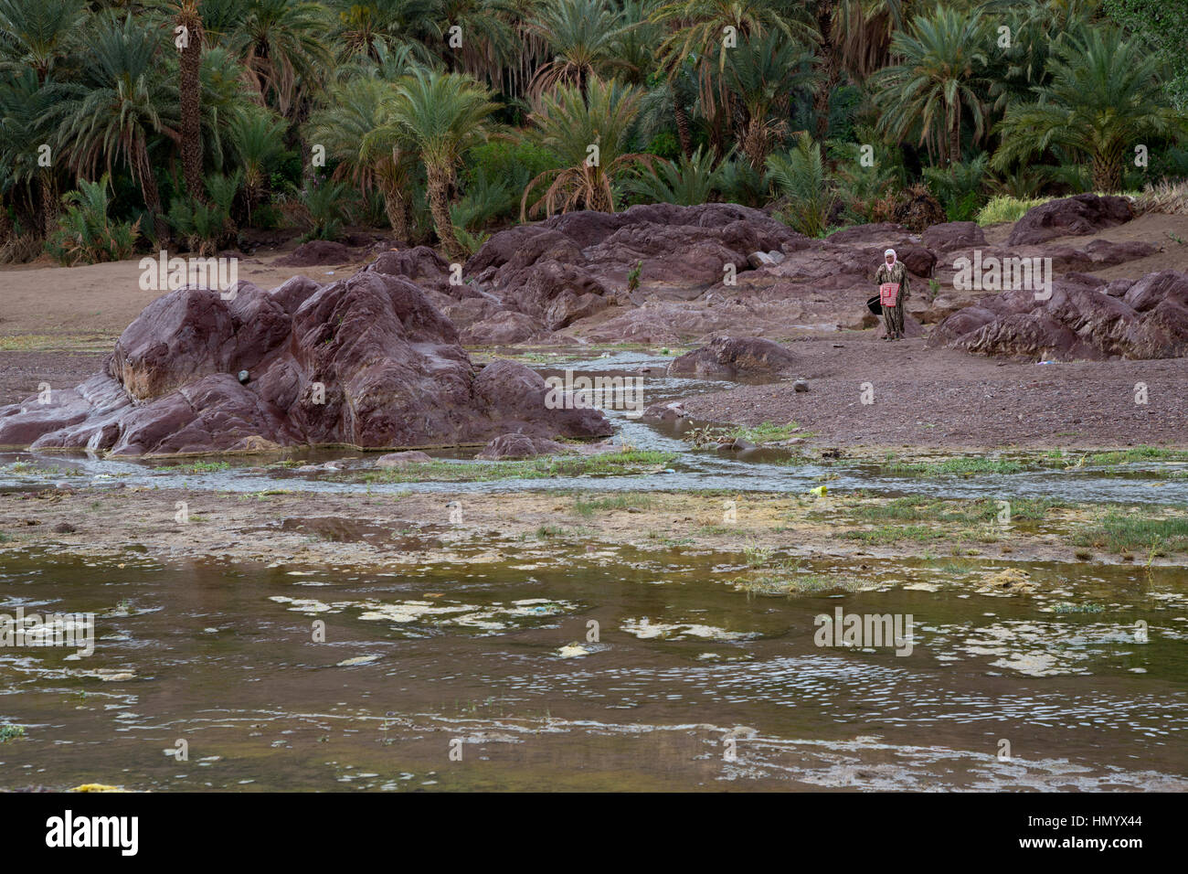 Le Maroc. Femme à l'Oasis de Fint, près de Ouarzazate. Banque D'Images