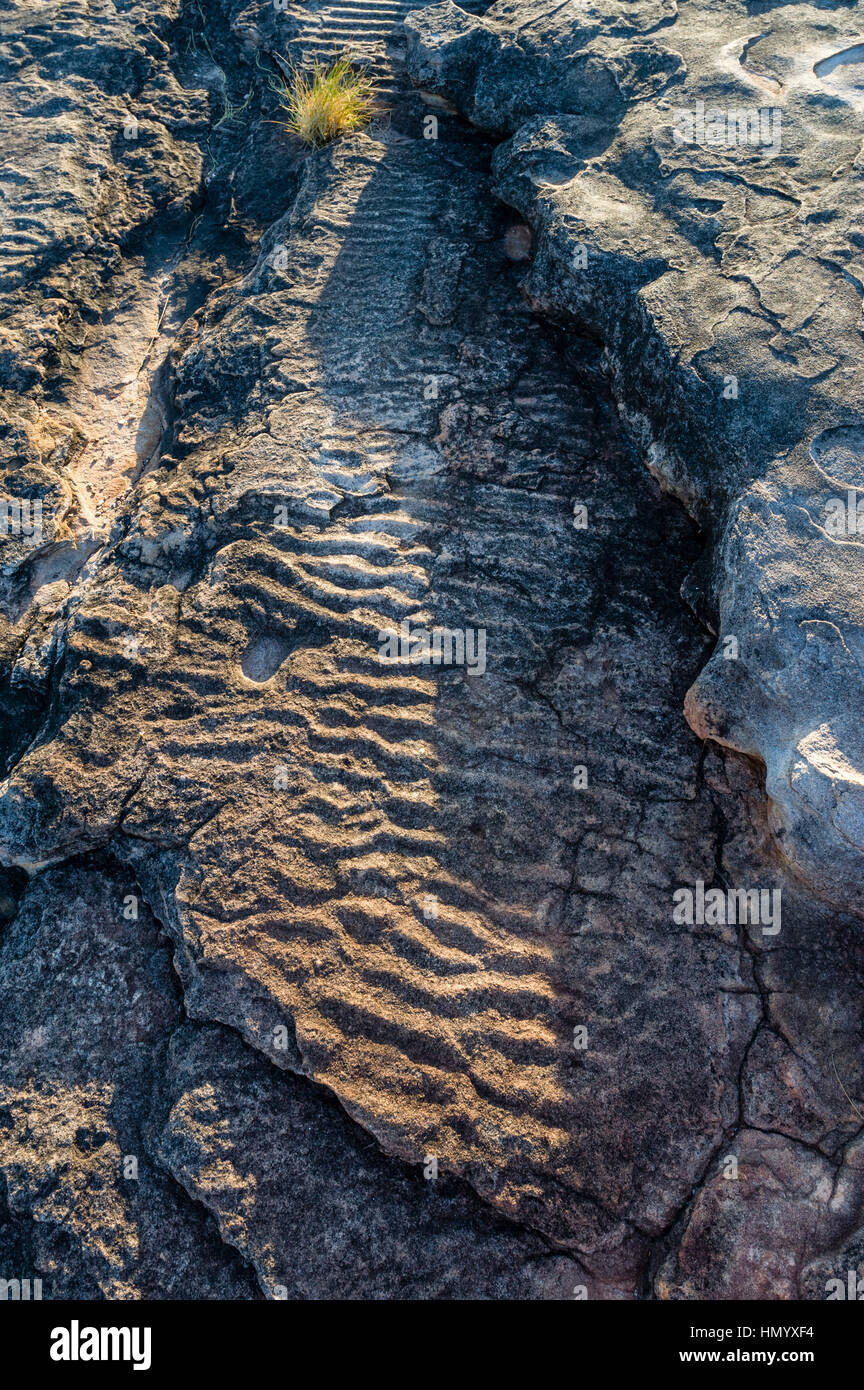 "Ripple-marks" aussi connu sous le nom de pierre d'ondulation dans une formation rocheuse de grès Kombolgie. Banque D'Images