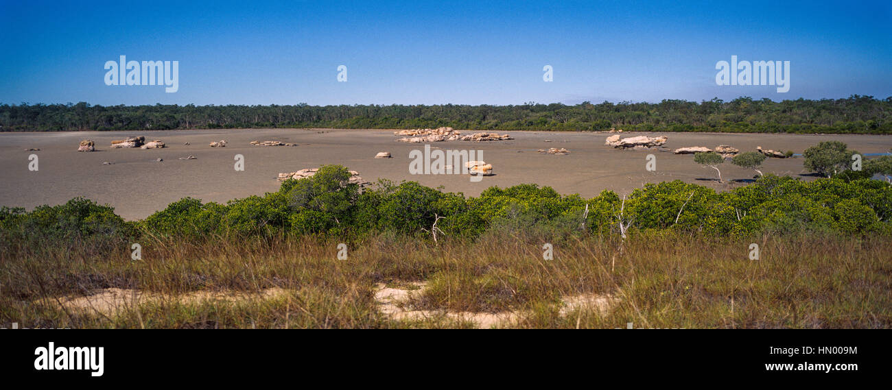 Rochers éparpillés sur un marais salé de sel derrière les dunes de sable côtières et les mangroves. Banque D'Images