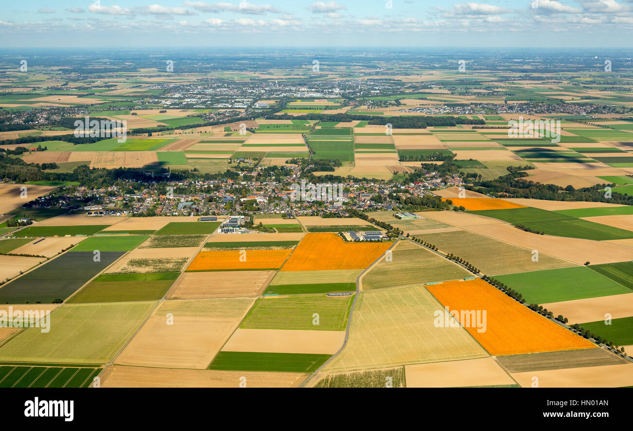 Les terres agricoles, les champs de citrouille, Löwenich près de Erkelenz, Niederrhein, Rhénanie du Nord-Westphalie, Allemagne, Banque D'Images