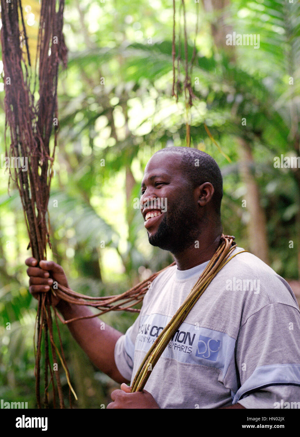 Ministère des Terres et Forêts Rhikkie guide Alexander prend une pause d'osciller de vignes le long du sentier d'Edmund. En un peu plus de trois ans et demi Banque D'Images