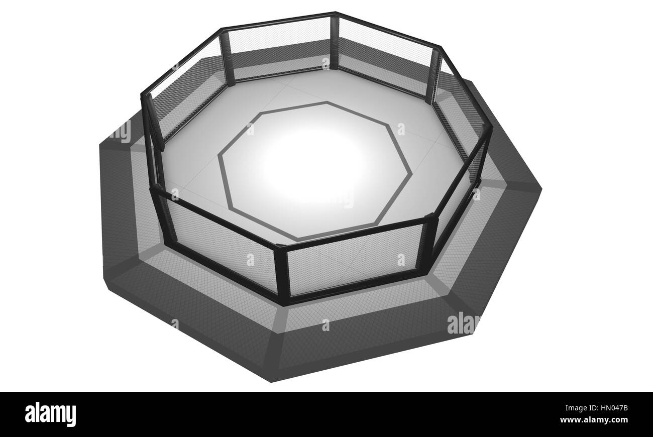 Rendu 3D Illustration d'une MMA (Mixed Martial Arts), la lutte contre l'aréna de la cage. Ring a la forme d'un octogone avec blanc mat et d'une clôture entourant ed Banque D'Images
