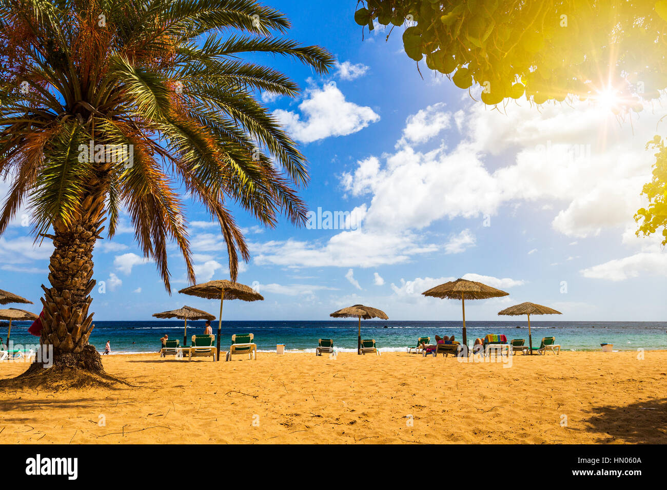 Mer Turquoise, sable jaune, transats et palmiers, soleil, très belle nature Banque D'Images