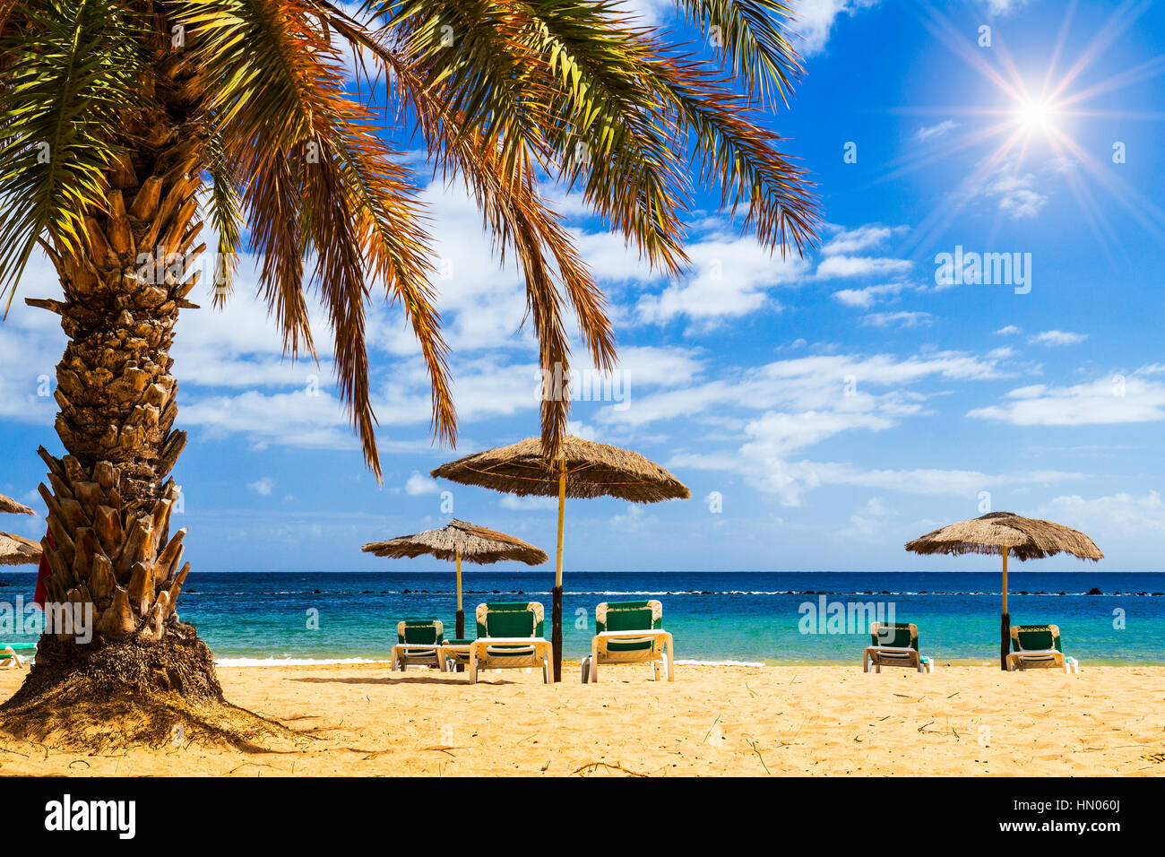 Mer Turquoise, sable jaune, transats et palmiers, soleil, très belle nature Banque D'Images