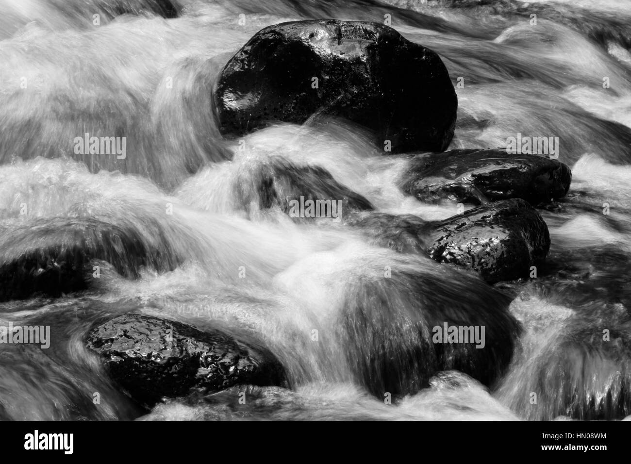 Courant Rapide de ruisseau de montagne et rochers Banque D'Images