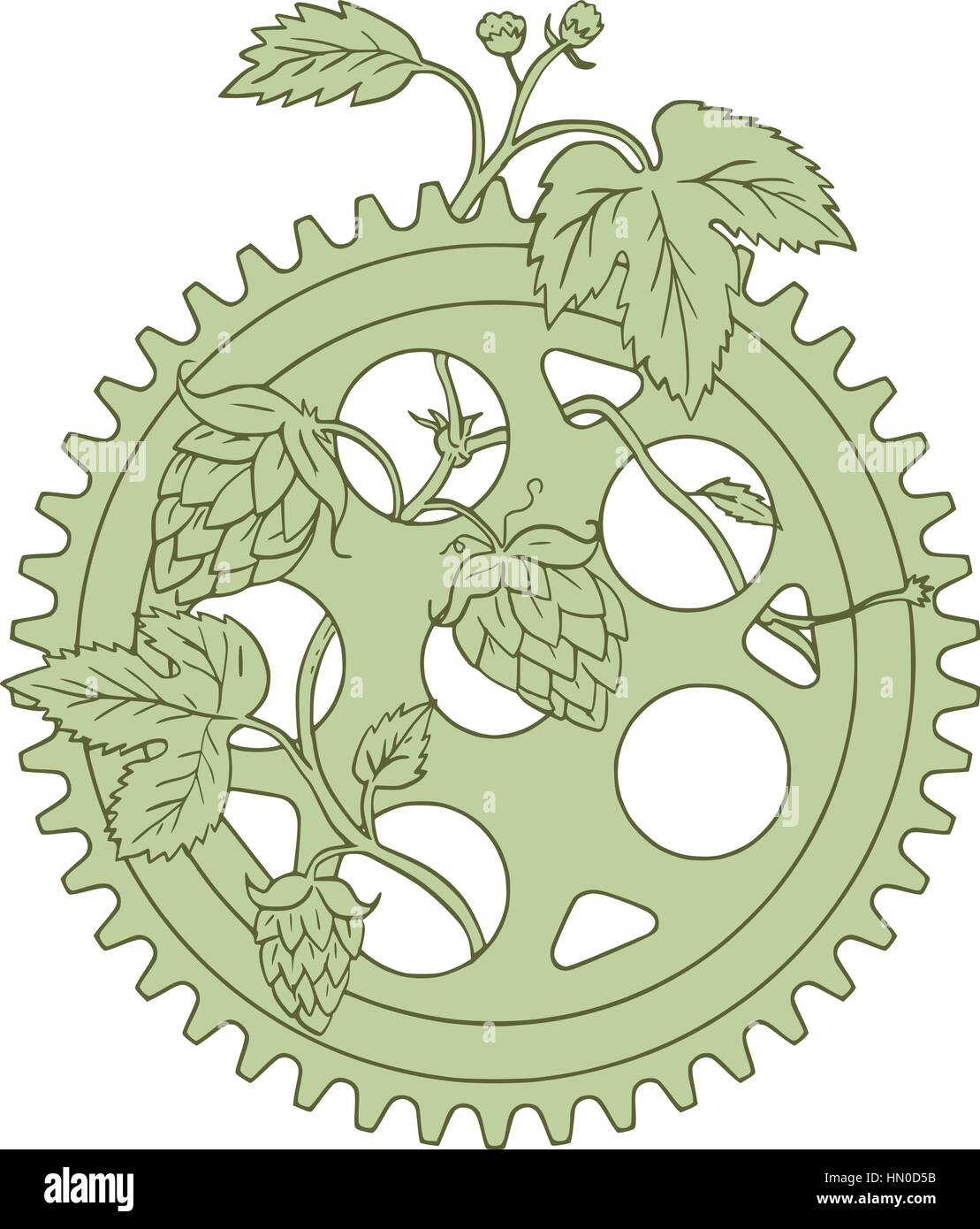 Style croquis dessin illustration d'un houblon Humulus lupulus avec fleurs et cônes ou strobiles entrelacées sur un seul anneau vintage crank s Illustration de Vecteur