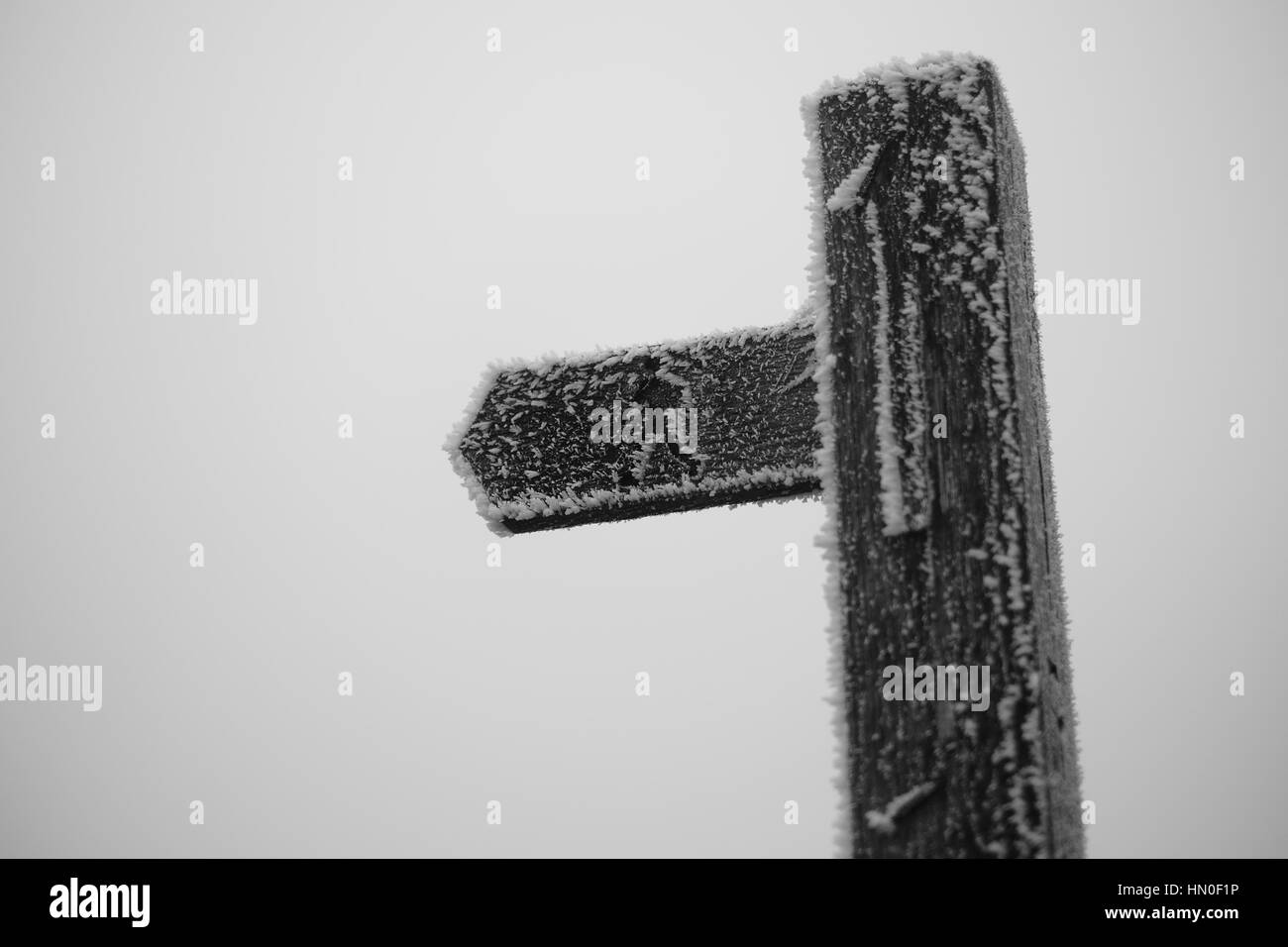 Marqueur de façon directionnelle pointant du doigt Banque D'Images