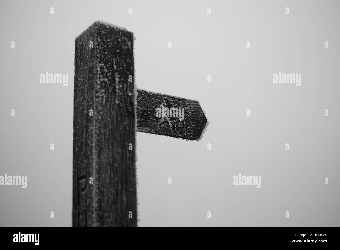 Marqueur de façon directionnelle pointant du doigt Banque D'Images