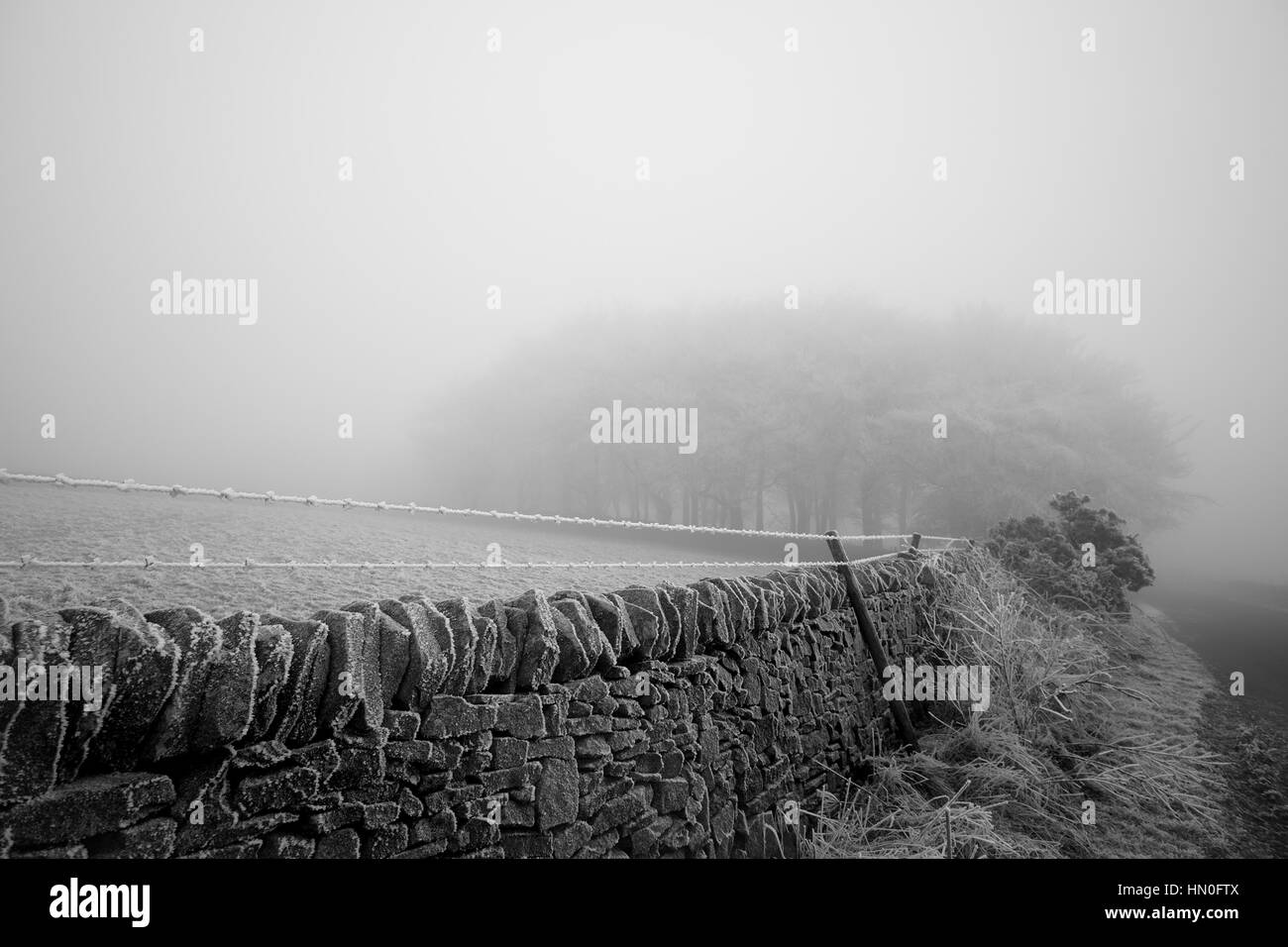 Entourée de bois d'épaisseur du brouillard givrant dans le Peak District National Park Banque D'Images