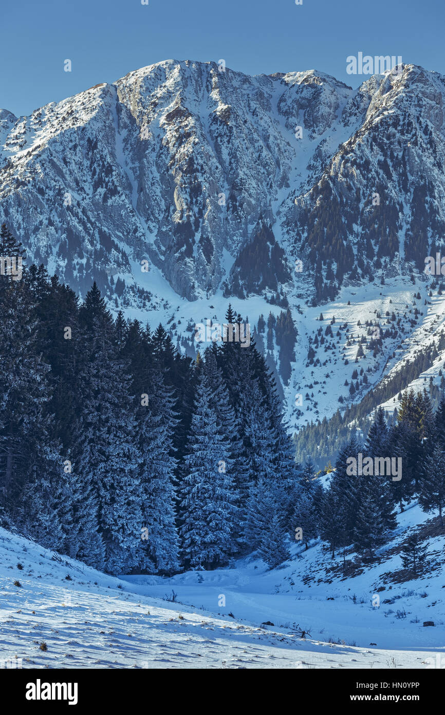 Paysage alpin d'hiver dans les vallées de Piatra Craiului, Roumanie. Banque D'Images