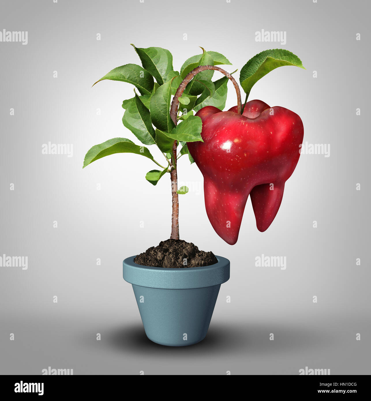 La croissance de la dent et la dentisterie ou médecine buccale dentiste soins de santé comme un symbole groeing apple tree avec un fruit en forme de l'icône de molaires d'un h Banque D'Images