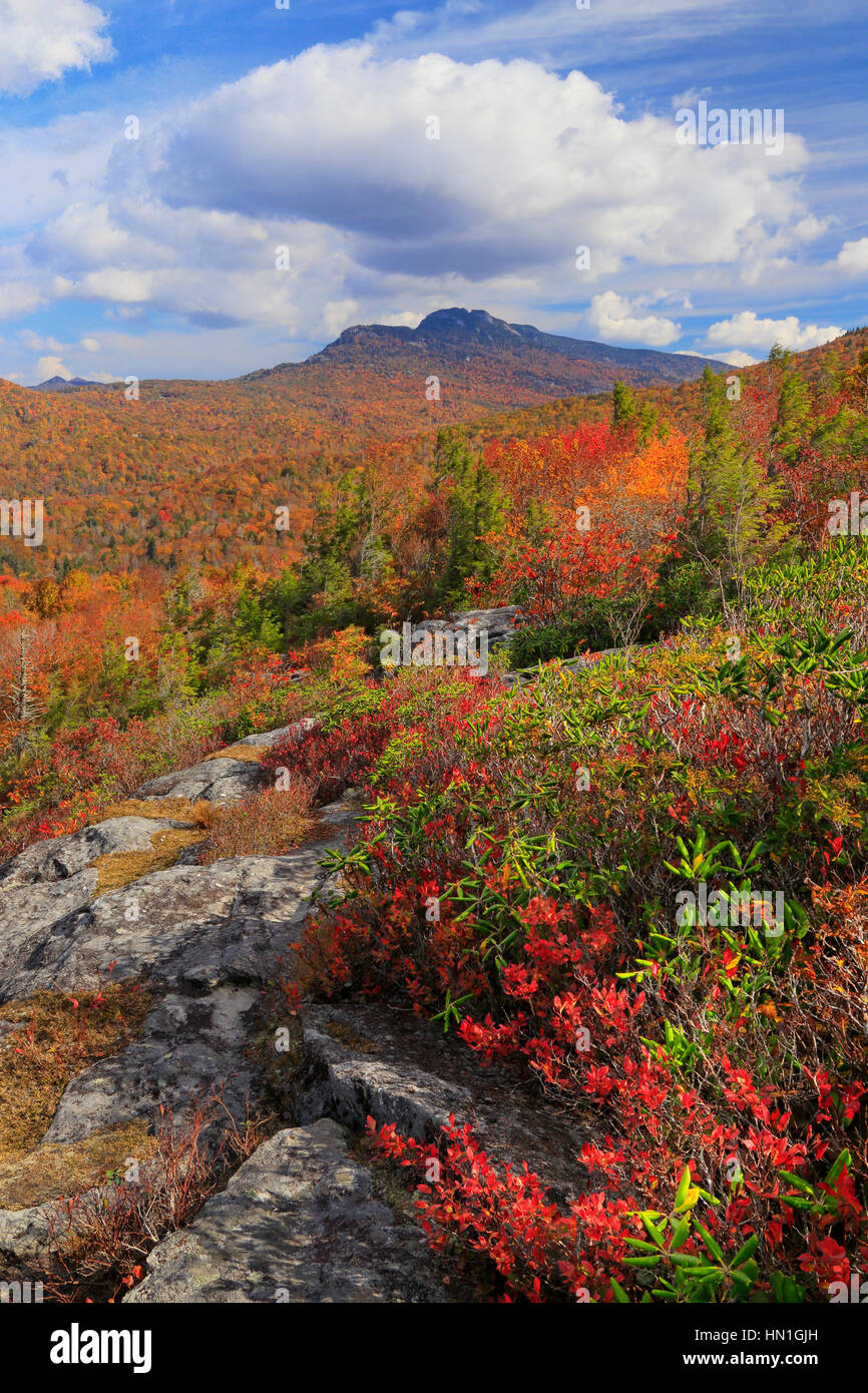 Grandfather Mountain vu de Flat Rock, Blue Ridge Parkway, North Carolina, USA Banque D'Images