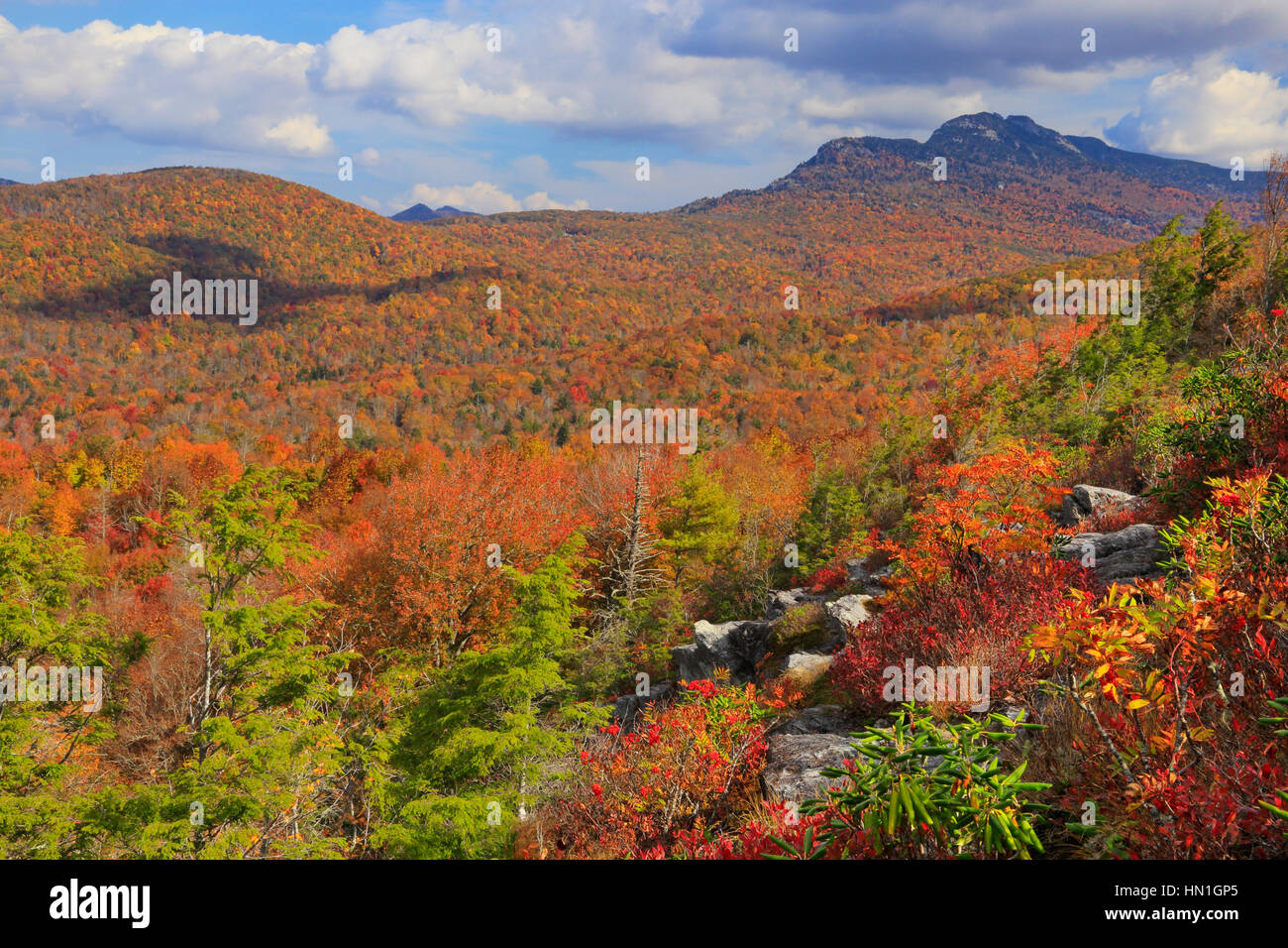 Grandfather Mountain vu de Flat Rock, Blue Ridge Parkway, North Carolina, USA Banque D'Images