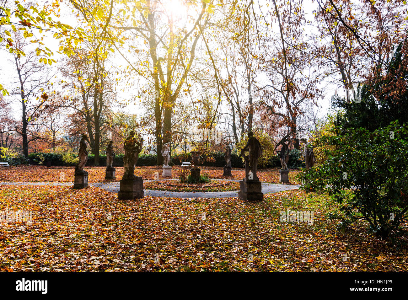 Park autumn avec les rayons du soleil à la fin de l'automne forest Banque D'Images