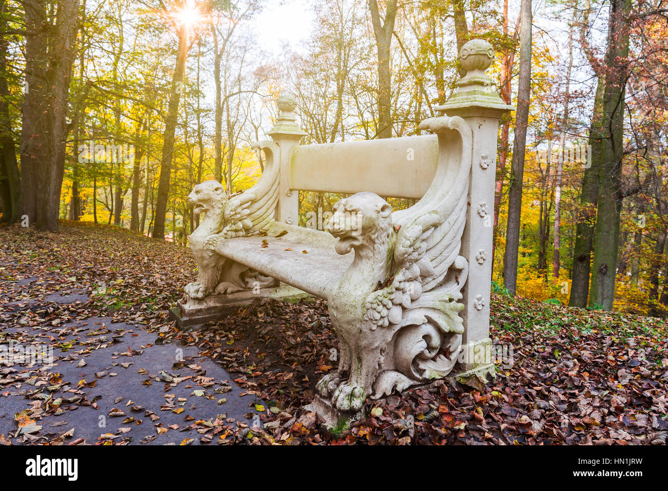 Vieux banc de bois du parc de la ville. automne fond naturel Banque D'Images