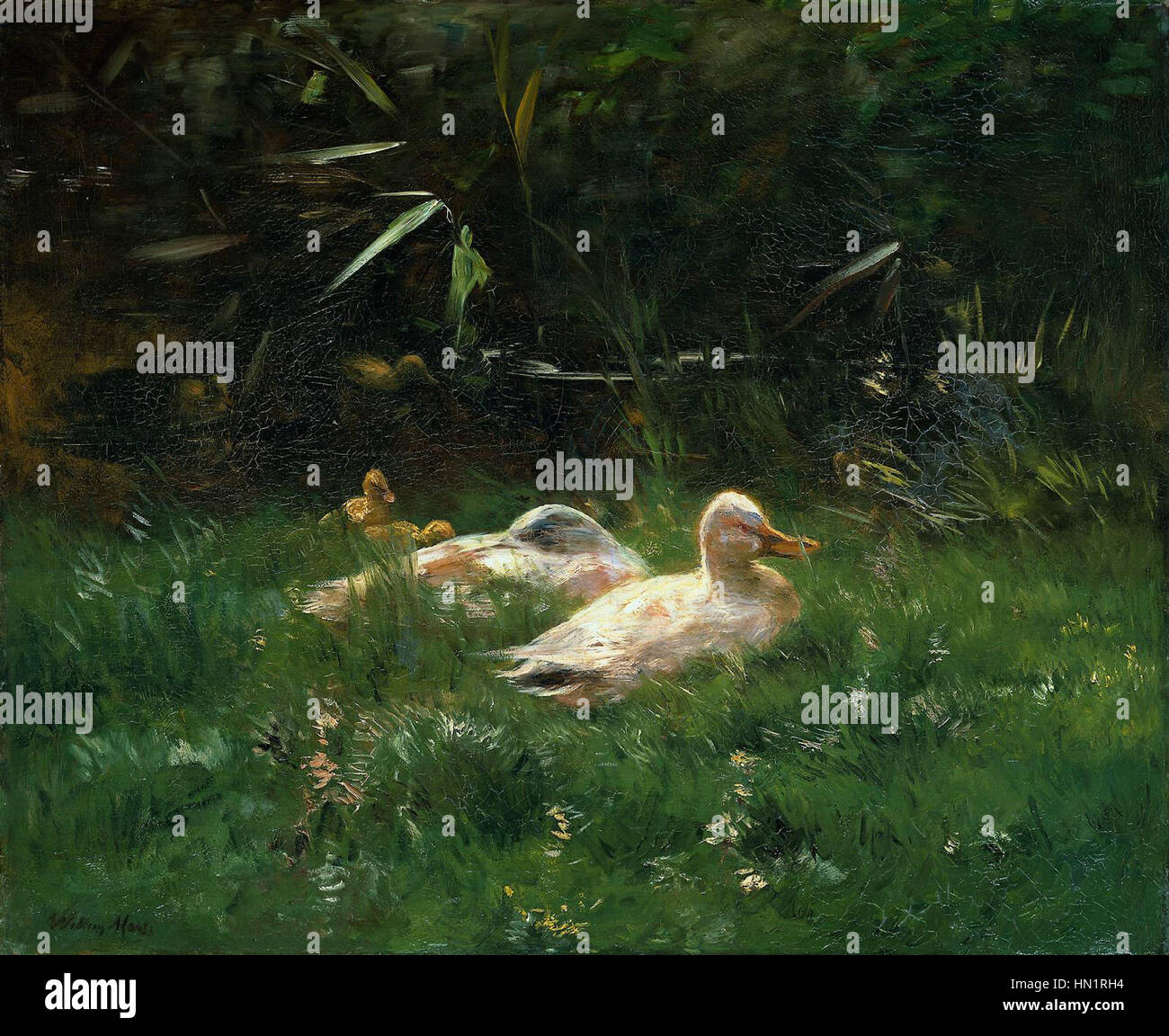 'Canards' de Willem Maris est une peinture de paysage paisible et sereine, mettant en valeur une scène naturelle avec des canards. Maris est connu pour son habile représentation des animaux et des paysages, capturant la tranquillité de la vie rurale dans le néerlandais du XIXe siècle Banque D'Images