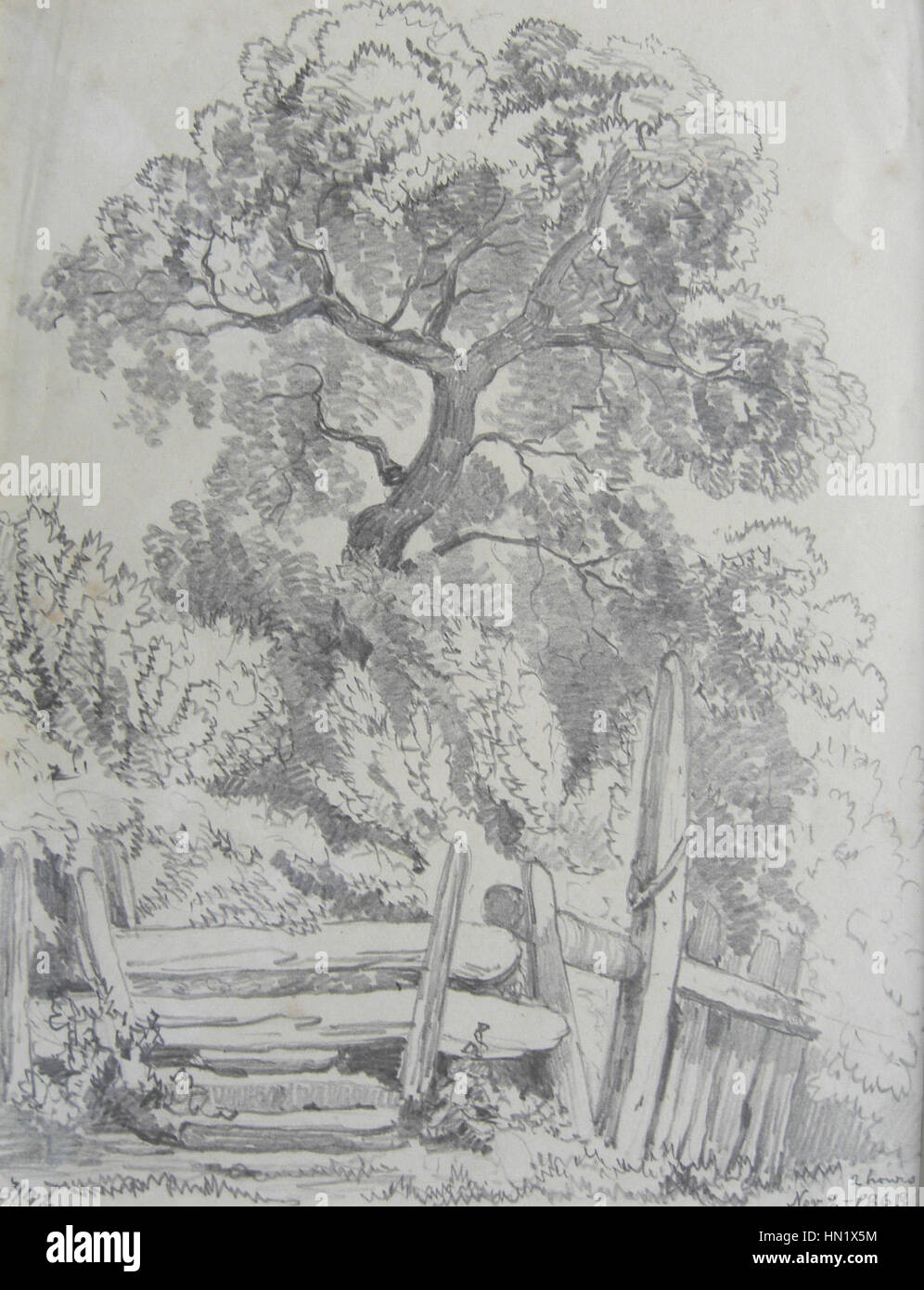 Famille lignes Sketchbook - Stile et arbres Banque D'Images