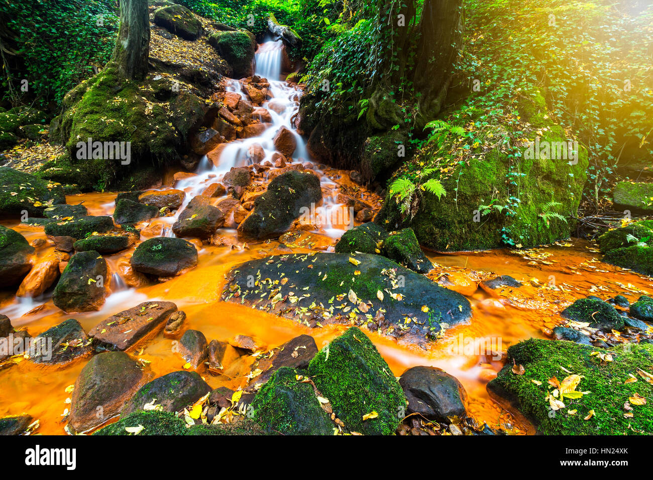 Belle cascade avec des arbres, des feuilles rouges, des roches et des pierres en forêt d'automne. Banque D'Images