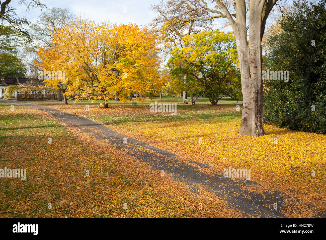 L'automne dans les jardins de Kew, à Londres. Banque D'Images