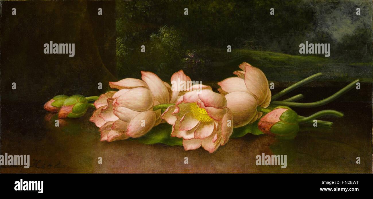 Les fleurs de lotus- un paysage en arrière-plan - Vlaminck - Google Cultural Institute Banque D'Images