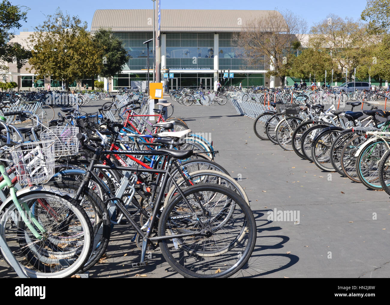 Davis, Californie, USA, 1 octobre 2016. Des Vélos à UC Davis en face de l'ARC. Les vélos sont le principal moyen de transport de l'UC Davis Banque D'Images