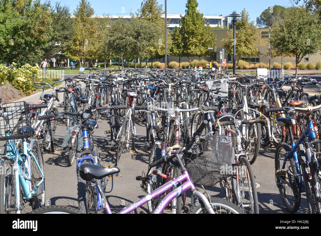 Davis, Californie, USA, 1 octobre 2016. Des bicyclettes à l'bicicycles parking à côté de l'ARC, UC Davis. Les sont le principal mode de transpo Banque D'Images