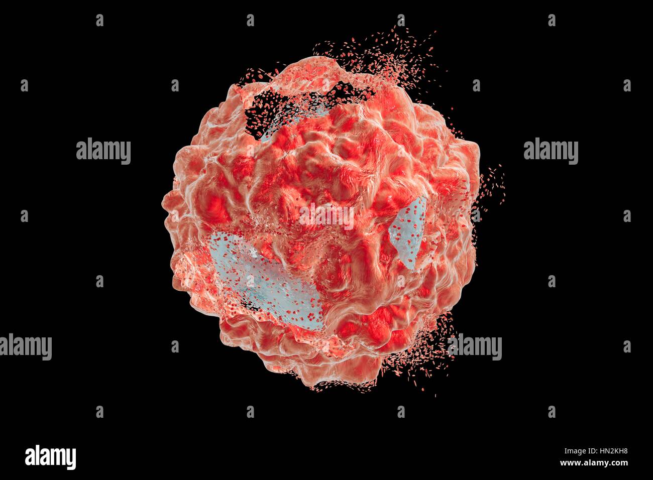 La destruction d'une cellule cancéreuse, illustration de l'ordinateur. Image conceptuelle qui peut illustrer le traitement du cancer par des médicaments, nanoparticules, d'anticorps ou d'autres méthodes. Banque D'Images