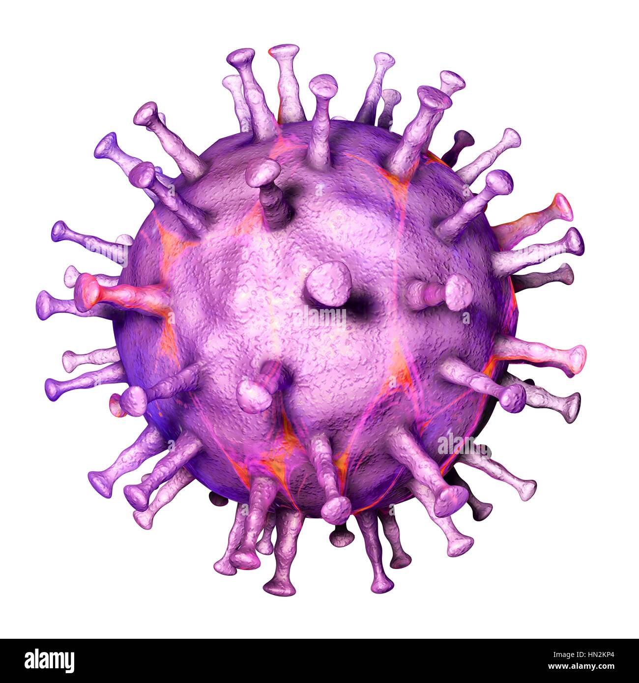 Virus de la fièvre porcine africaine, de l'illustration. Ce virus est membre de l'iridovirus de groupe qui provoque la peste porcine africaine. Contrairement à d'autres- l'ADN contenant des virus vertébrés (sauf les poxvirus), l'iridovirus reproduit, dans le cytoplasme de la cellule hôte (la plupart des autres se répliquent dans le noyau). Banque D'Images