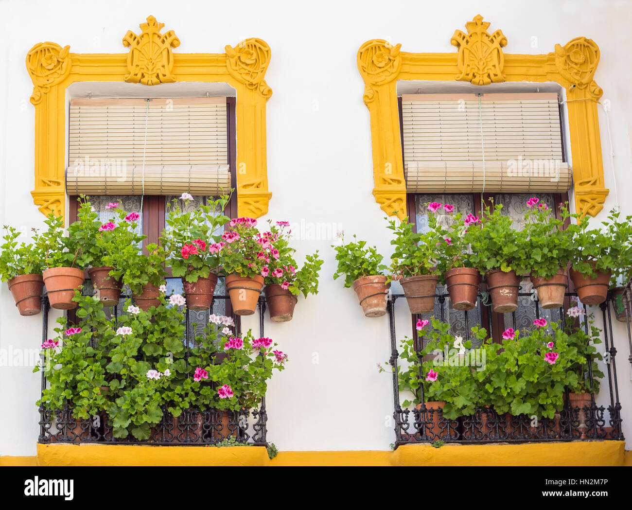 Des fleurs à Cordoba windows Banque D'Images