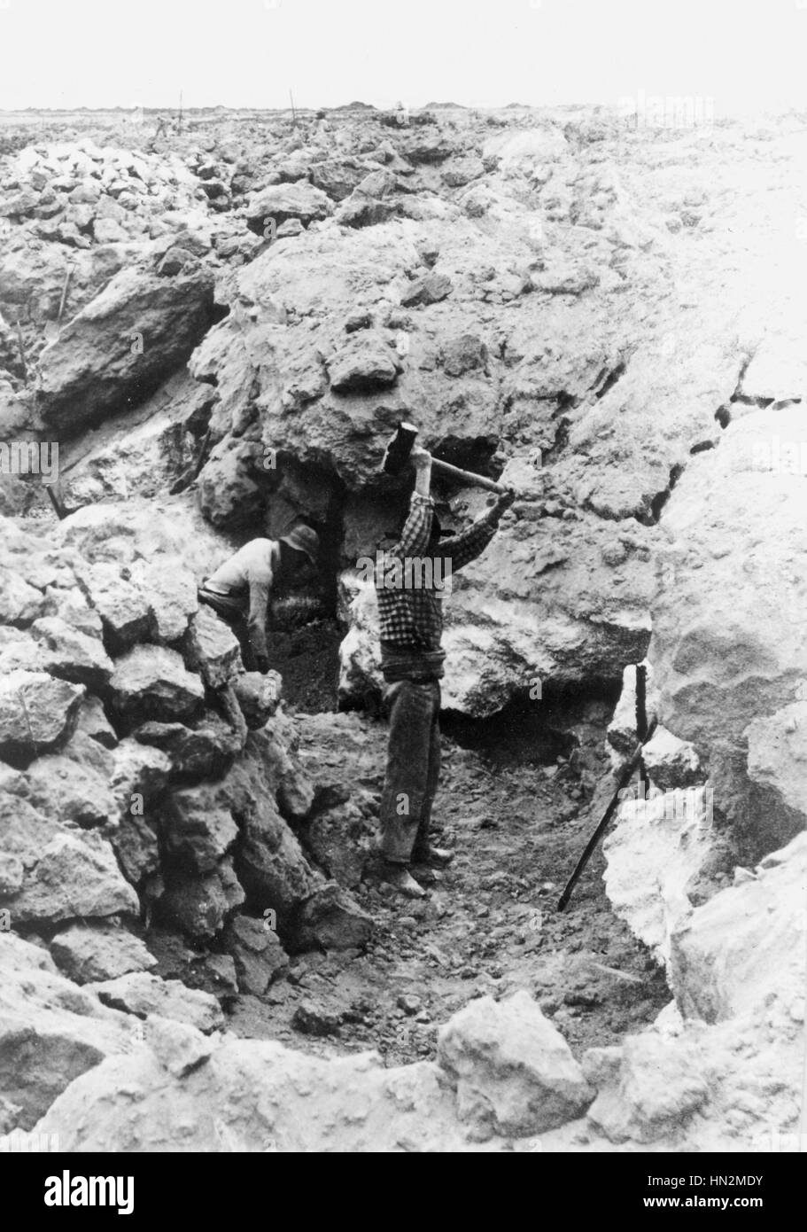Dans le travail des mines de nitrate du Chili, au début du xxe siècle Banque D'Images