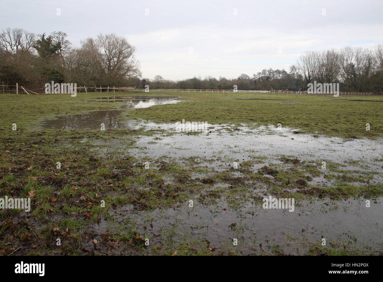 Un champ de ferme inondée après de fortes pluies Banque D'Images