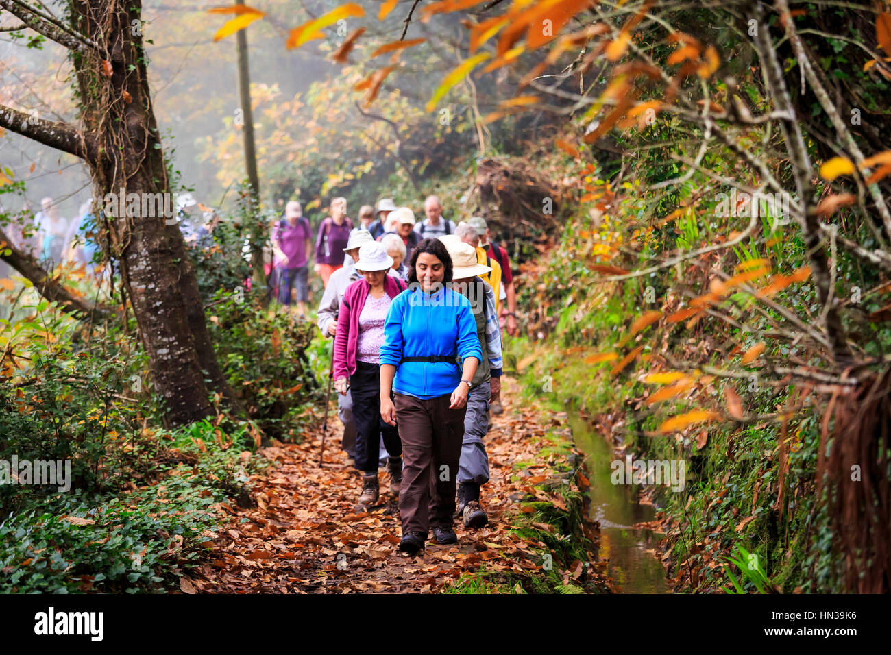 Levada à pied avec un groupe d'excursion à travers la forêt, de Madère Banque D'Images