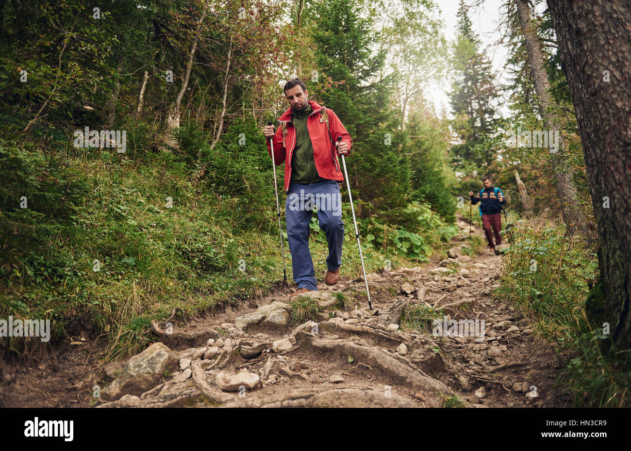 Deux jeunes hommes portant des sacs à dos et bâtons de marche marche dans un sentier forestier lors d'une randonnée dans le désert Banque D'Images