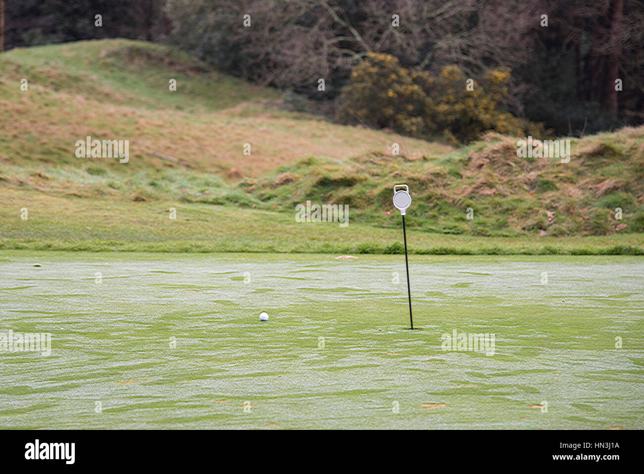 Mettre vert de pratique sur golf avec pôle et balle de golf près du trou Banque D'Images